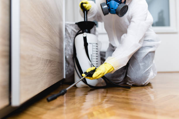 Best Residential Pest Control  in West Rancho Dominguez, CA