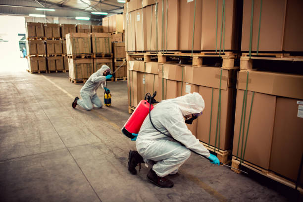Reliable West Rancho Dominguez, CA Pest Control Solutions