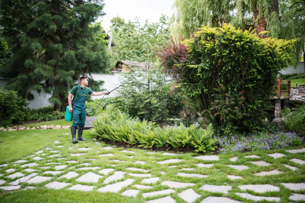 Best Exterminator Services  in West Rancho Dominguez, CA