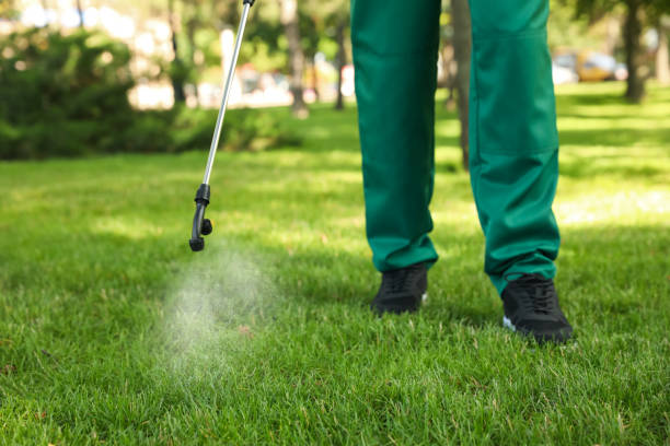 Best Commercial Pest Control Services  in West Rancho Dominguez, CA