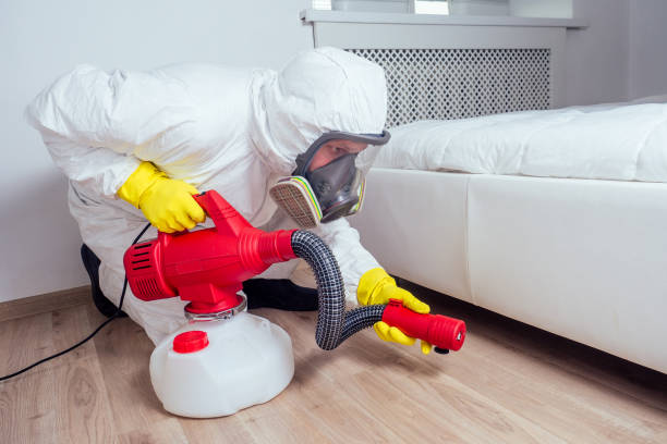 Best Rodent Control Near Me  in West Rancho Dominguez, CA