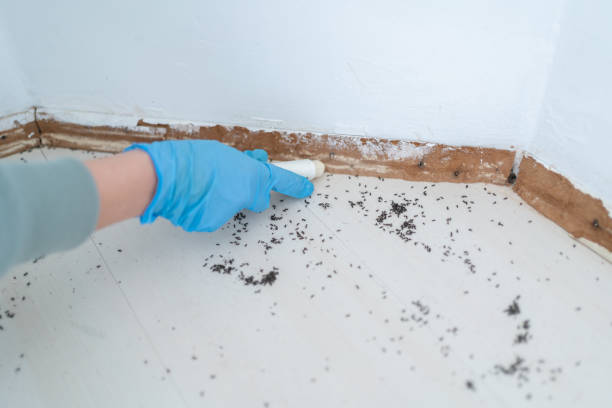  West Rancho Dominguez, CA Pest Control Pros
