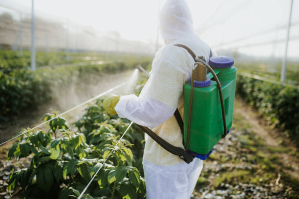 Best Emergency Pest Control  in West Rancho Dominguez, CA
